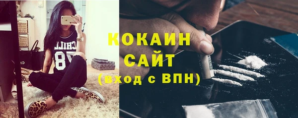 прущие крисы Белая Холуница