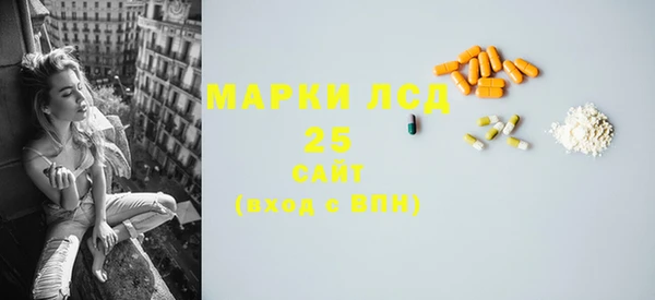PSILOCYBIN Надым
