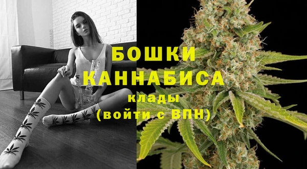 PSILOCYBIN Надым