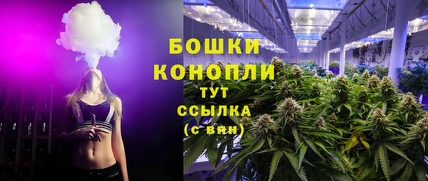 PSILOCYBIN Надым
