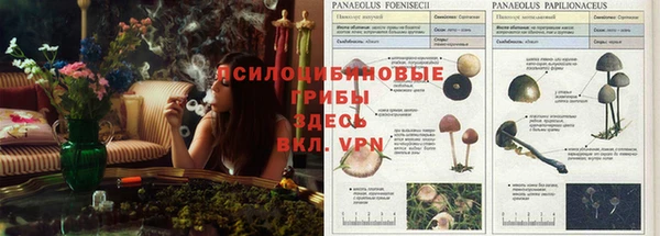 spice Навашино