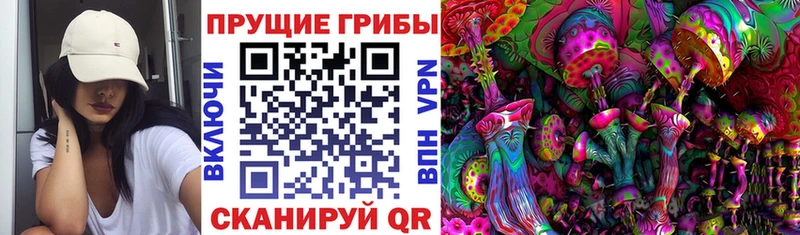 даркнет клад  Жуковка  Псилоцибиновые грибы ЛСД  kraken зеркало 